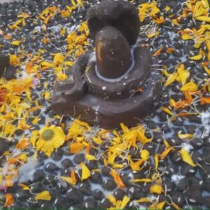 Offline and online partheshwar pujan in mamaleshwar omkareshwar