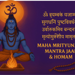 mahamrityunjay mantra and homam jaap at Shivaseva