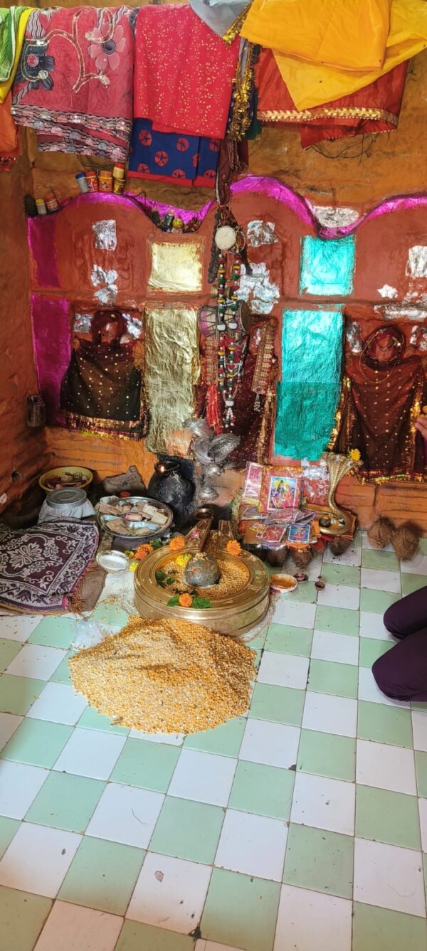 Rin Mukti Puja at Rin-Mukteshwar Omkareshwar - Image 7