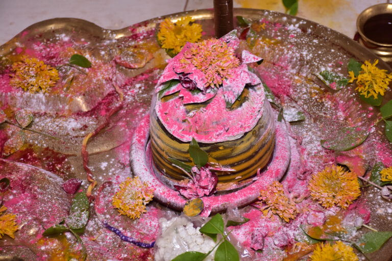 panchamrit rudra abhishek